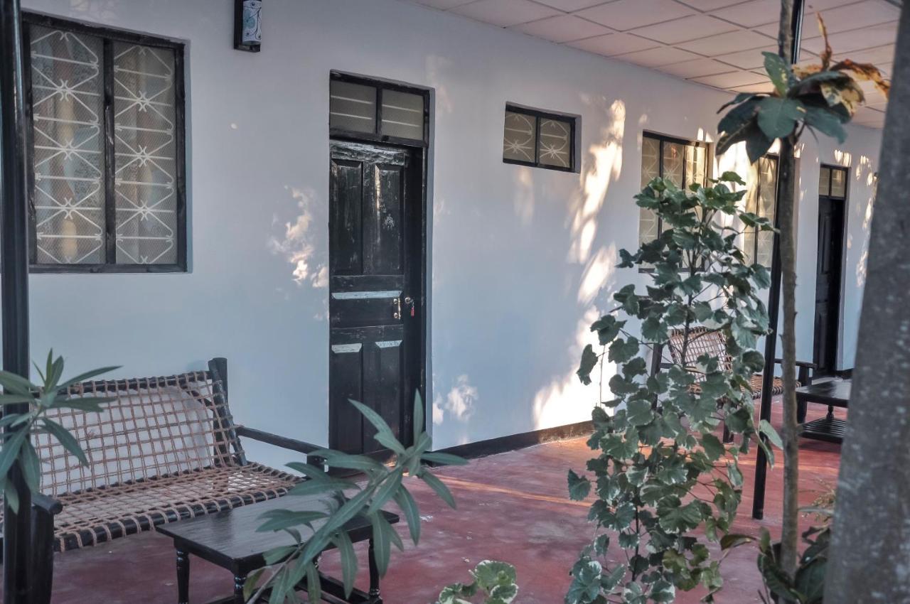 Papaya Guest House Nungwi Bagian luar foto